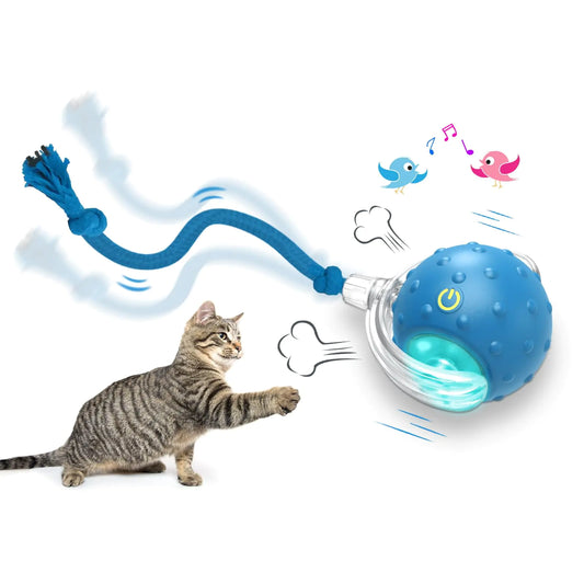 Giociv Interactive Cat Toys Ball for Indoor Cats Fast Rolling on Carpet Chirping & Motion Activate Cat Toys (Blue)